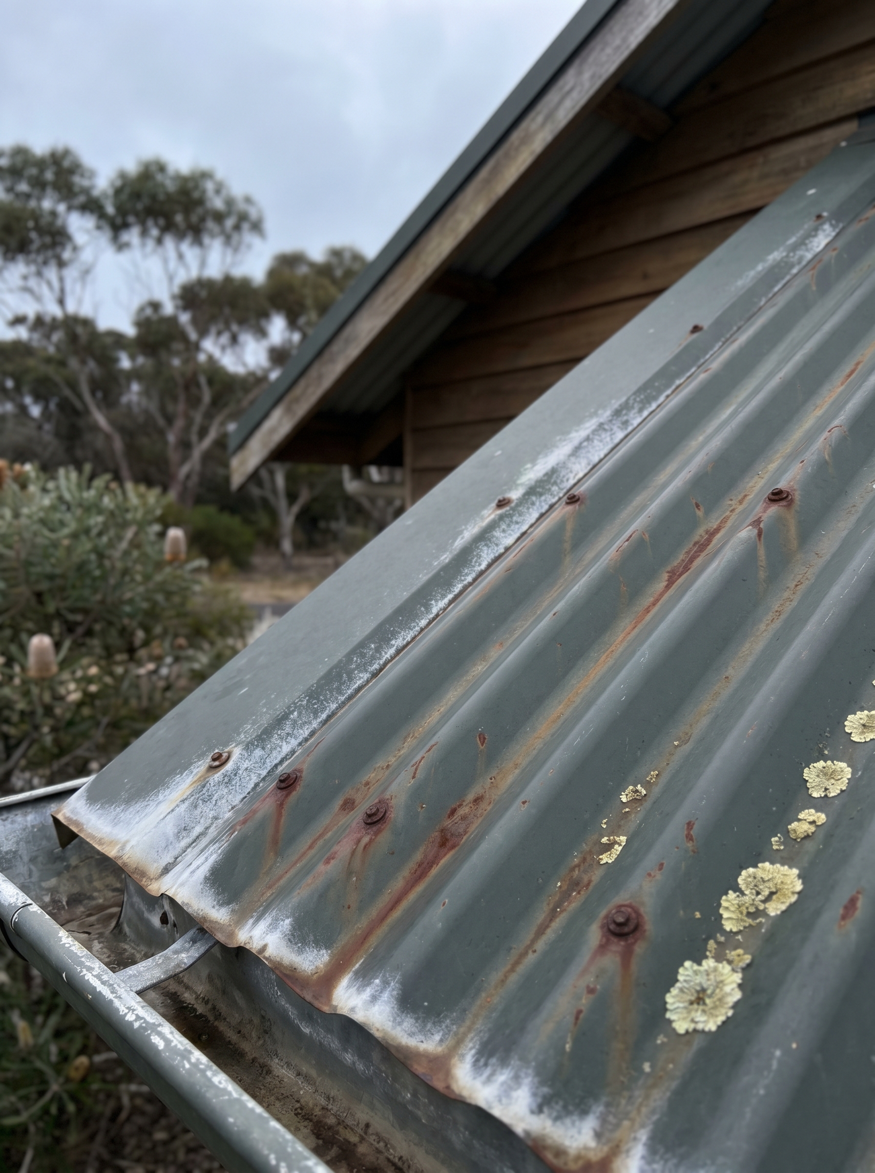 Close-up of an aged Colorbond roof on a Sapphire Coast home showing rust streaks, lichen colonies and paint fade at the gutter line